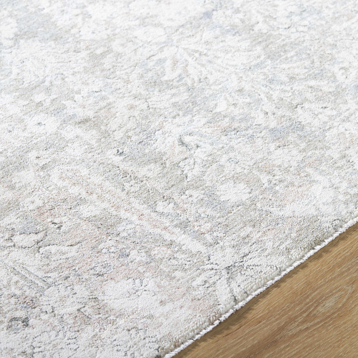 Carlyn Traditional Botanical Beige And Cream Area Rug - The Rug Decor