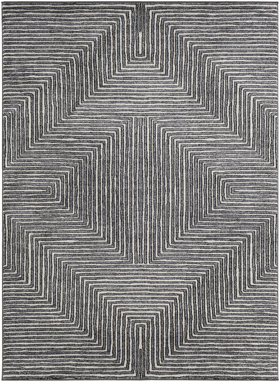 Carnarvon Charcoal And Gray Modern Style Area Rug - The Rug Decor