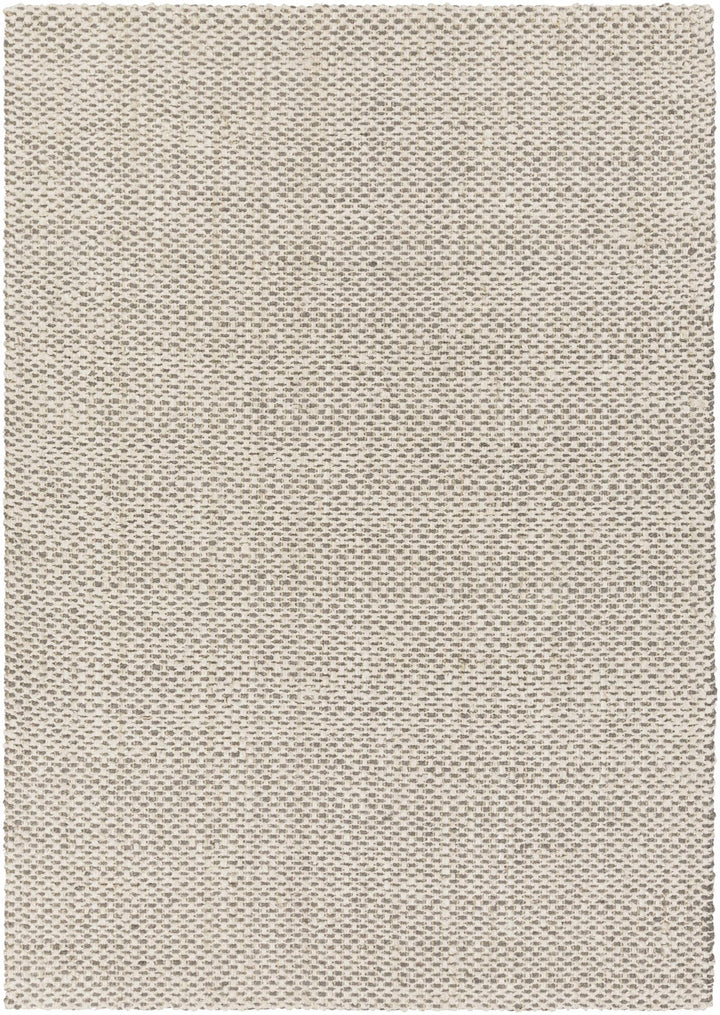 Carrier Beige And Gray Modern Style Area Rug - The Rug Decor
