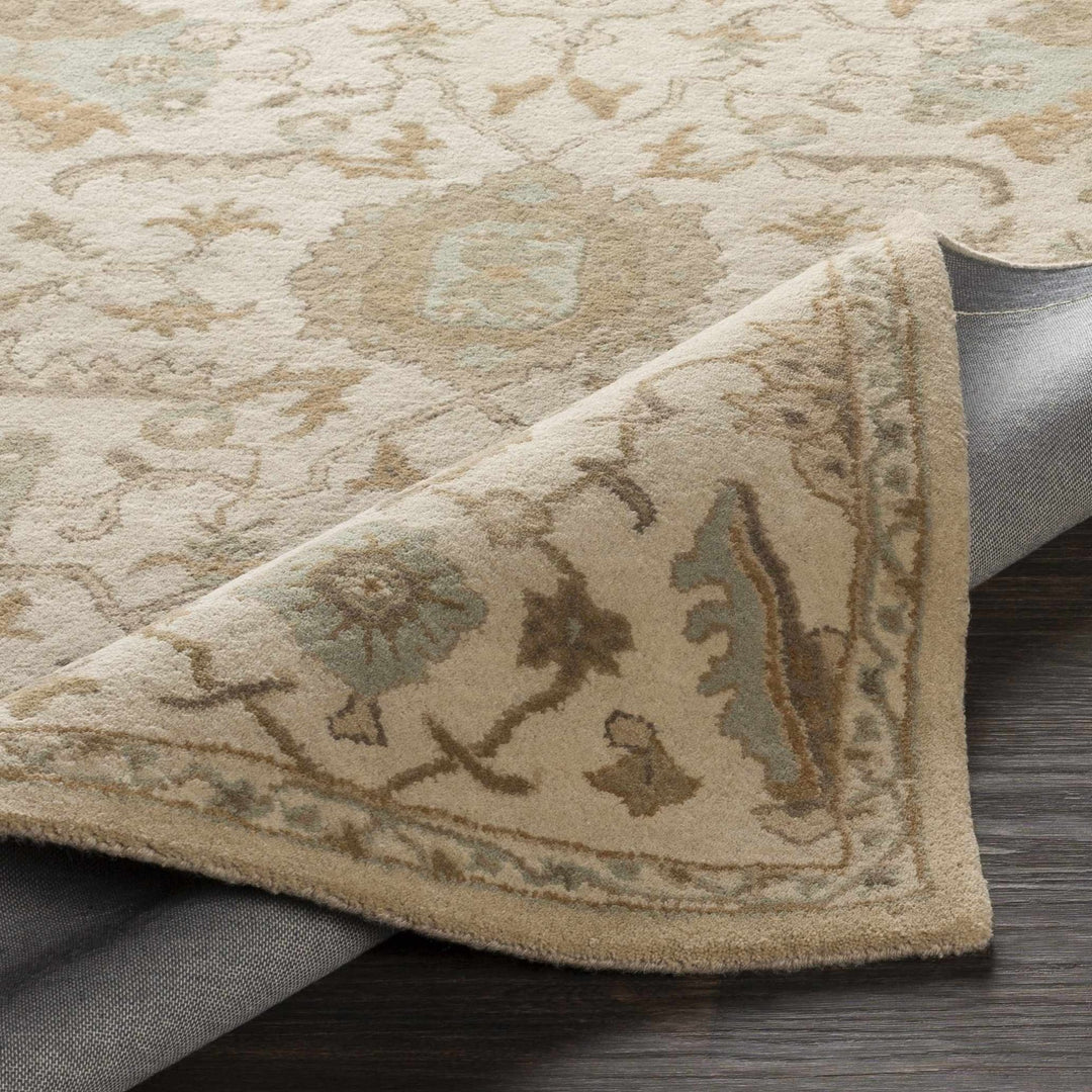 Carrolltown Traditional Oushak Beige and Cream Area Rug - The Rug Decor