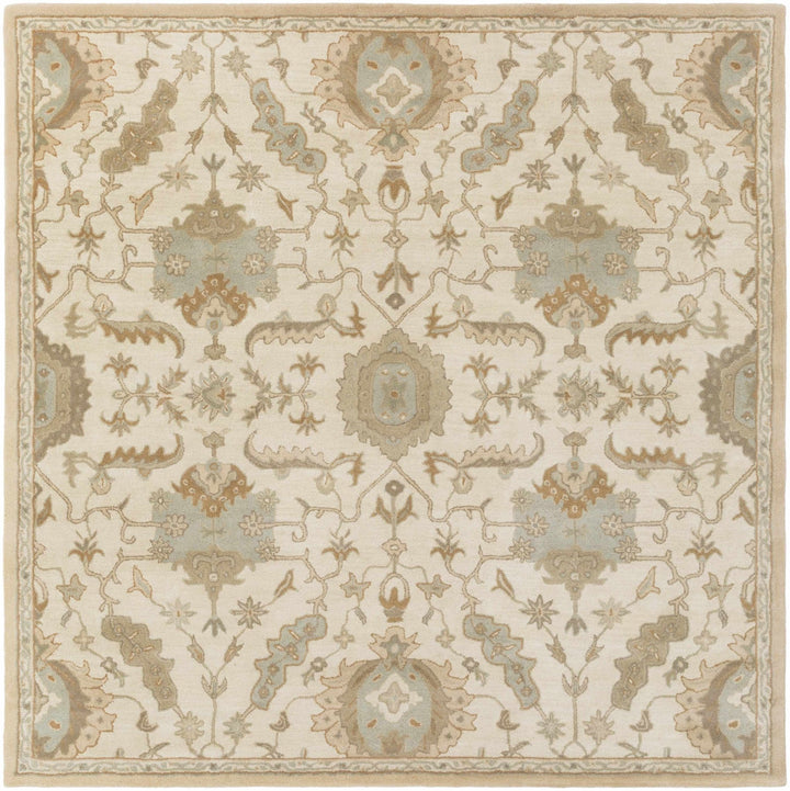 Carrolltown Traditional Oushak Beige and Cream Area Rug - The Rug Decor
