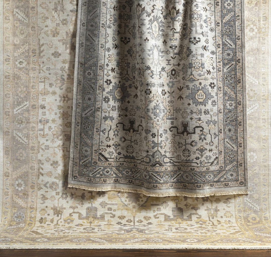 Carthage Traditional Style Beige And Gray Hand Knotted Area Rug - The Rug Decor