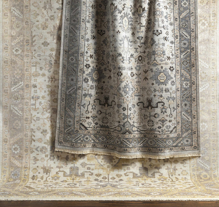 Carthage Traditional Style Beige And Gray Hand Knotted Area Rug - The Rug Decor