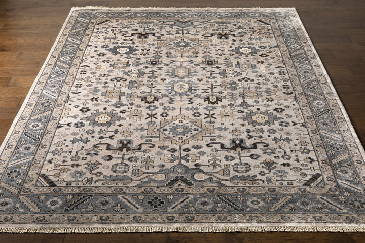 Carthage Traditional Style Beige And Gray Hand Knotted Area Rug - The Rug Decor