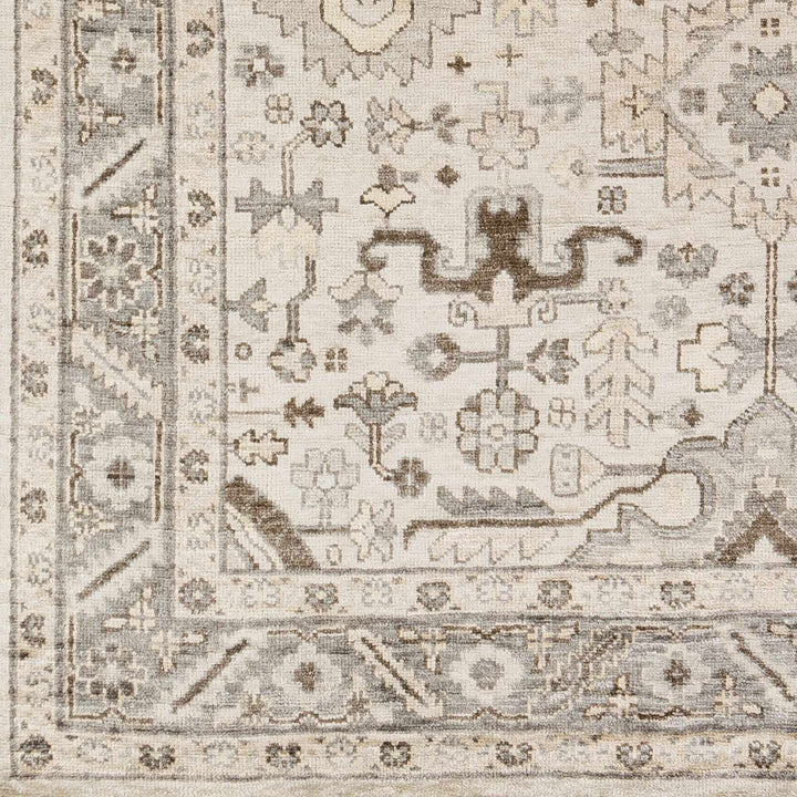 Carthage Traditional Style Beige And Gray Hand Knotted Area Rug - The Rug Decor