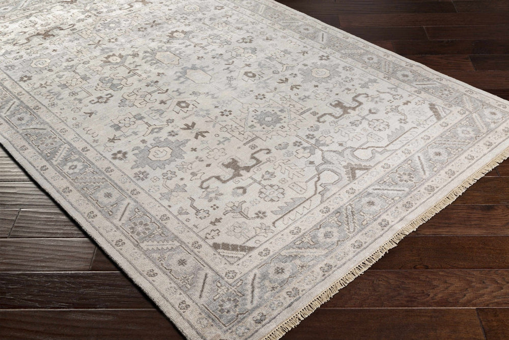 Carthage Traditional Style Beige And Gray Hand Knotted Area Rug - The Rug Decor