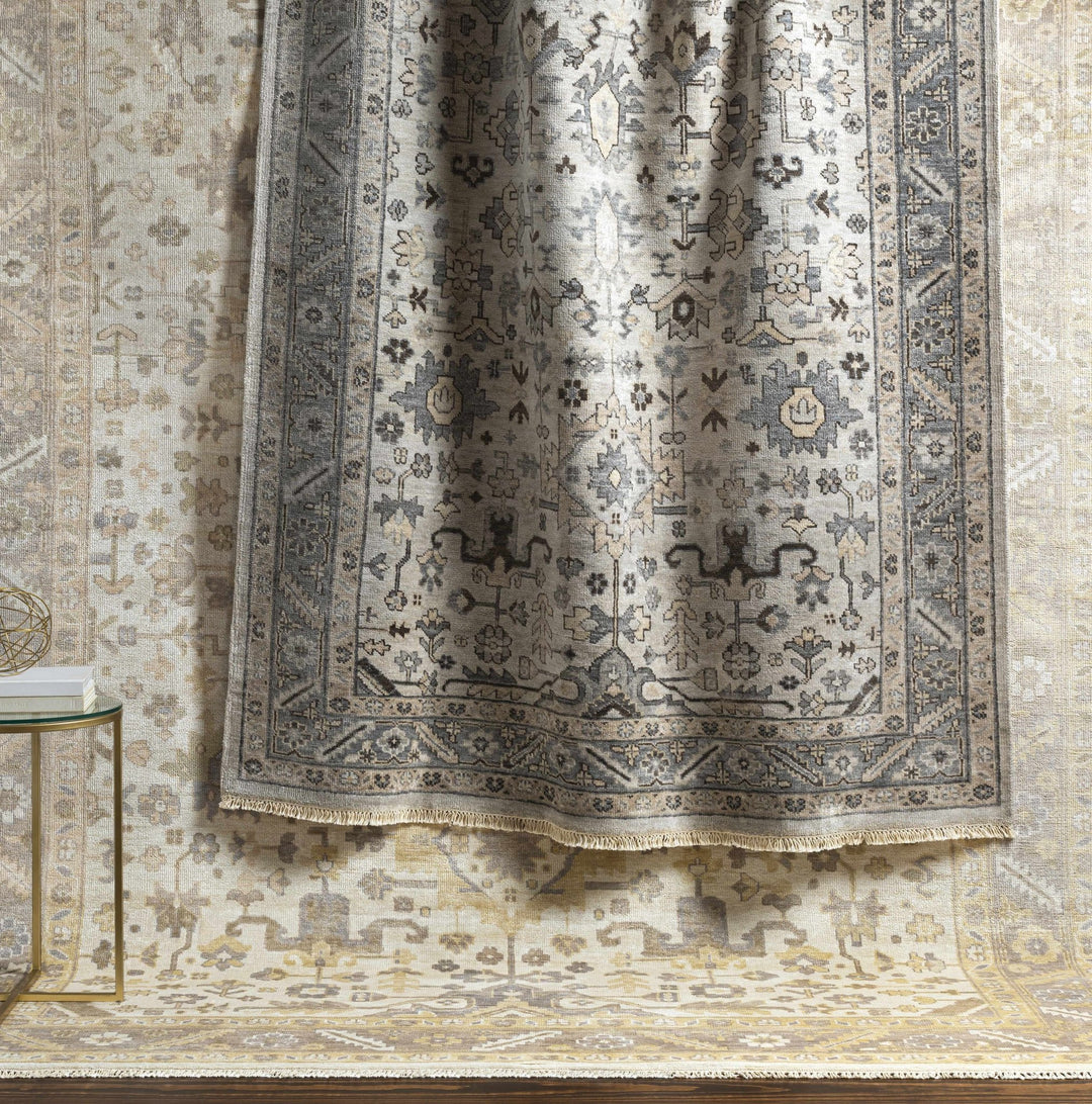 Carthage Traditional Style Beige And Gray Hand Knotted Area Rug - The Rug Decor