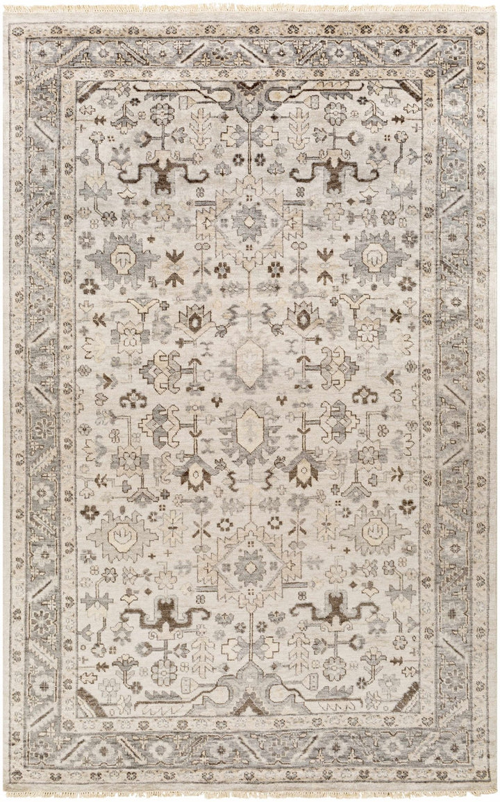 Carthage Traditional Style Beige And Gray Hand Knotted Area Rug - The Rug Decor