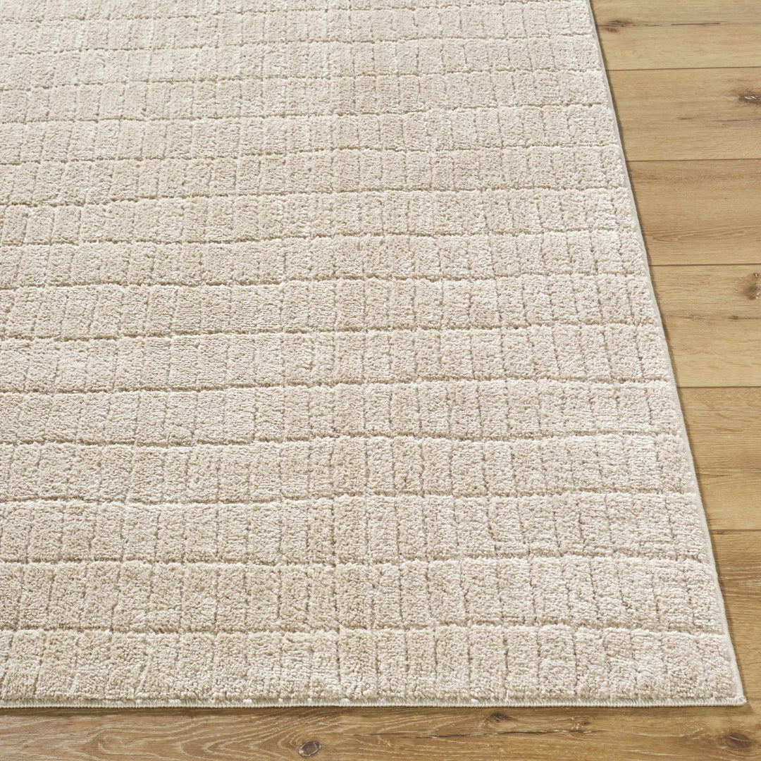 Cascade Contemporary Geometrical Beige Area Rug - The Rug Decor