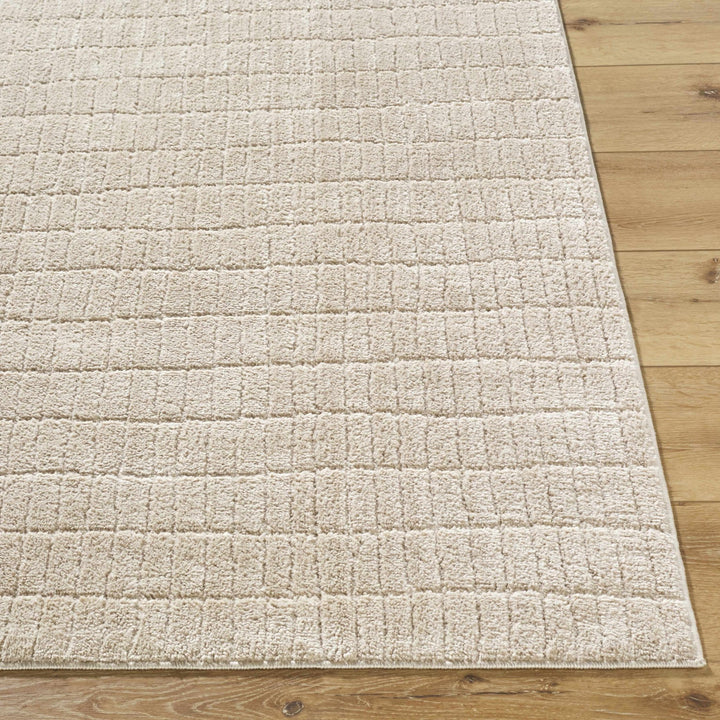 Cascade Contemporary Geometrical Beige Area Rug - The Rug Decor