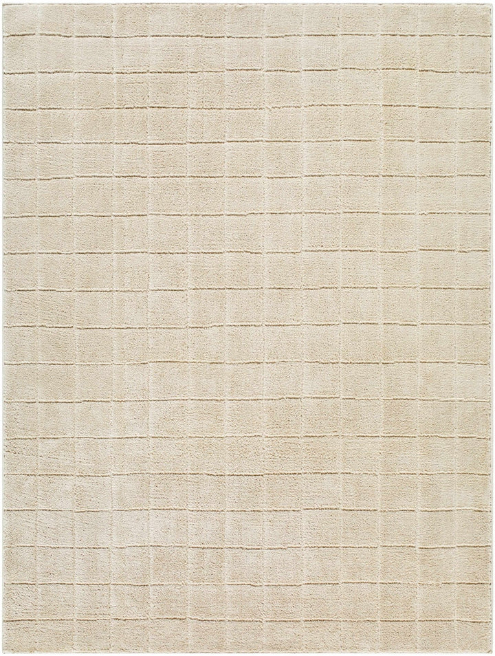 Cascade Modern Geometrical Beige Rug - The Rug Decor