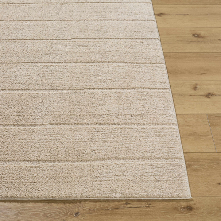 Cascade Modern Stripes Beige Area Rug - The Rug Decor