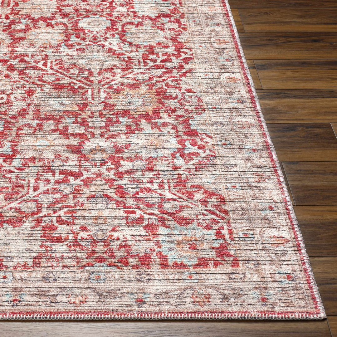 Cathy Traditional Transitional Red And Beige Area Rug - The Rug Decor