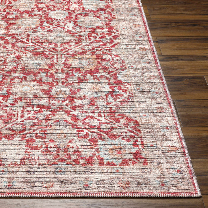 Cathy Traditional Transitional Red And Beige Area Rug - The Rug Decor