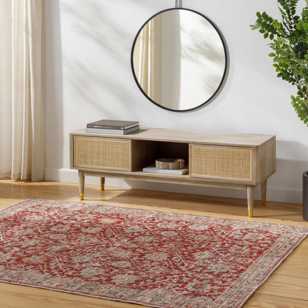 Cathy Traditional Transitional Red And Beige Area Rug - The Rug Decor
