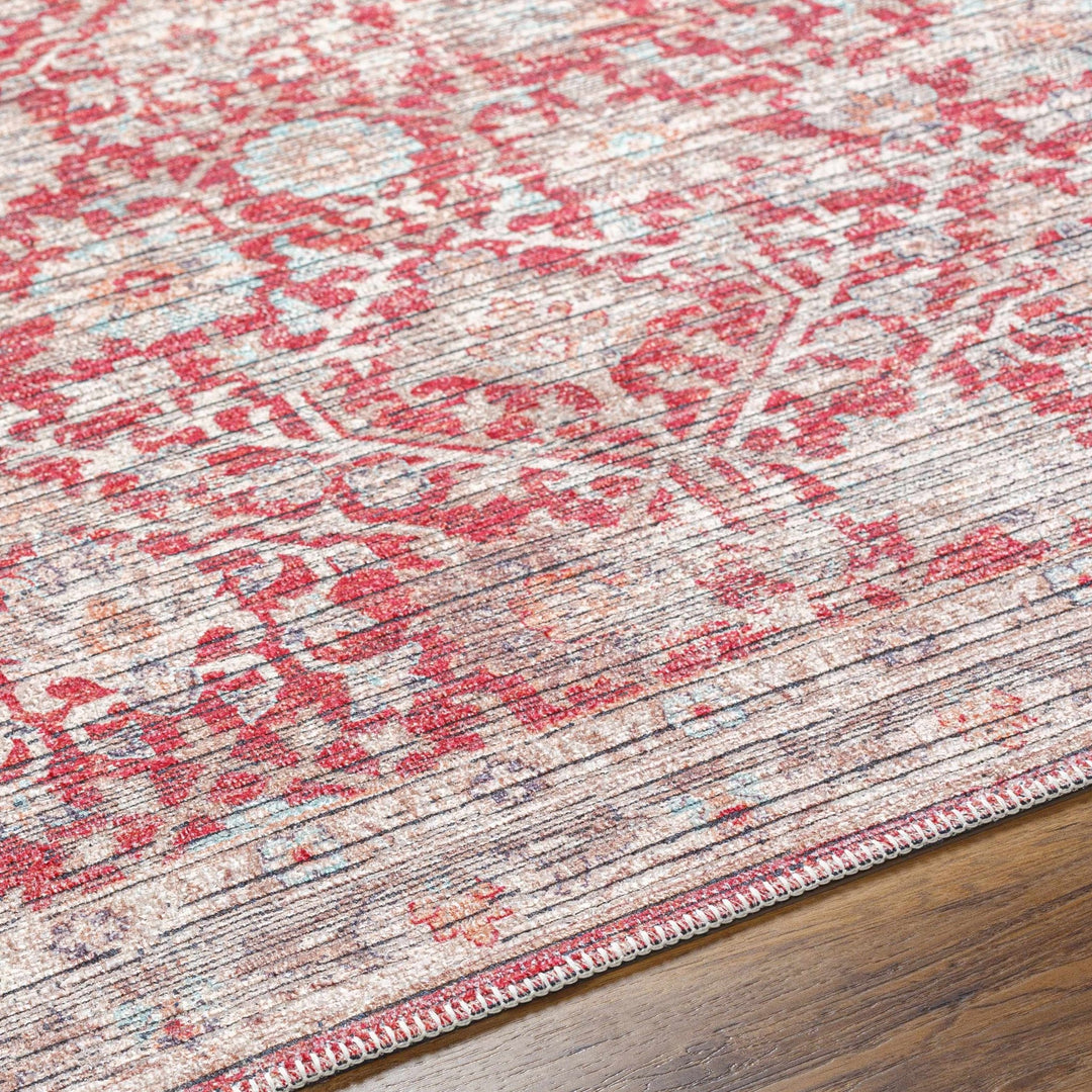 Cathy Traditional Transitional Red And Beige Area Rug - The Rug Decor