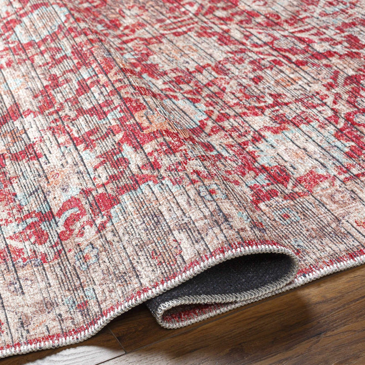 Cathy Traditional Transitional Red And Beige Area Rug - The Rug Decor