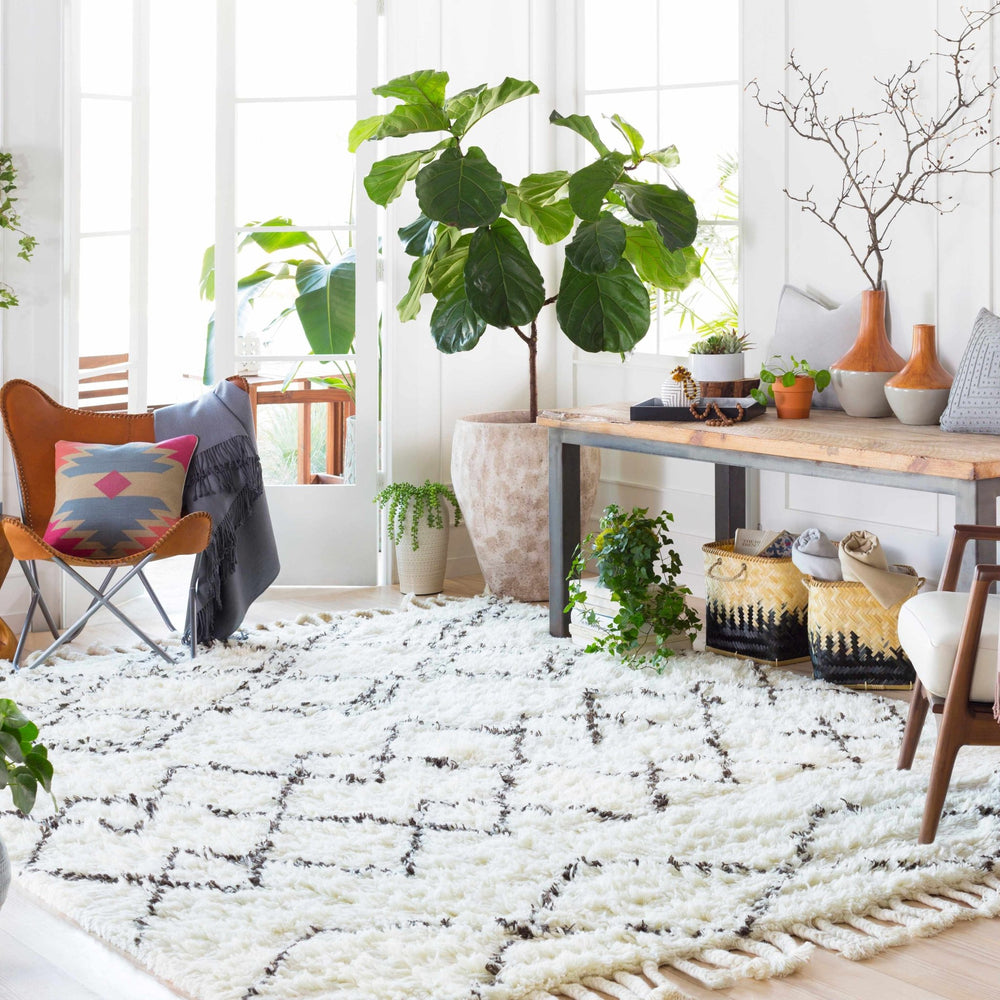 Catoosa Bohemian Trellis Pattern ivory Hand Woven Wool Rug - The Rug Decor