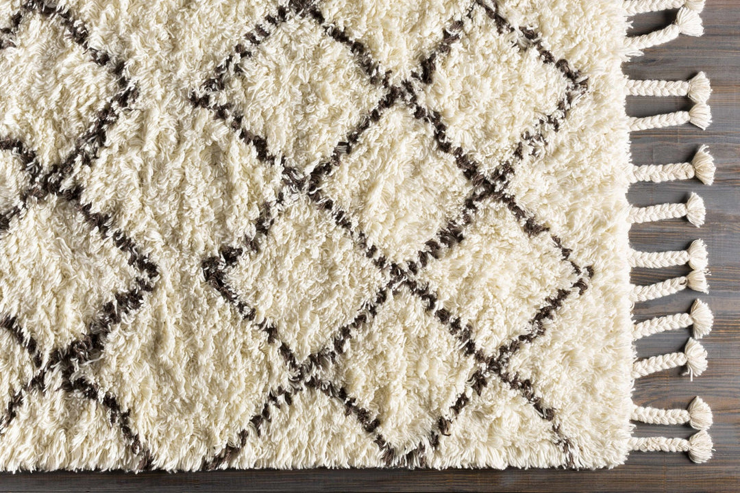 Catoosa Bohemian Trellis Pattern ivory Hand Woven Wool Rug - The Rug Decor