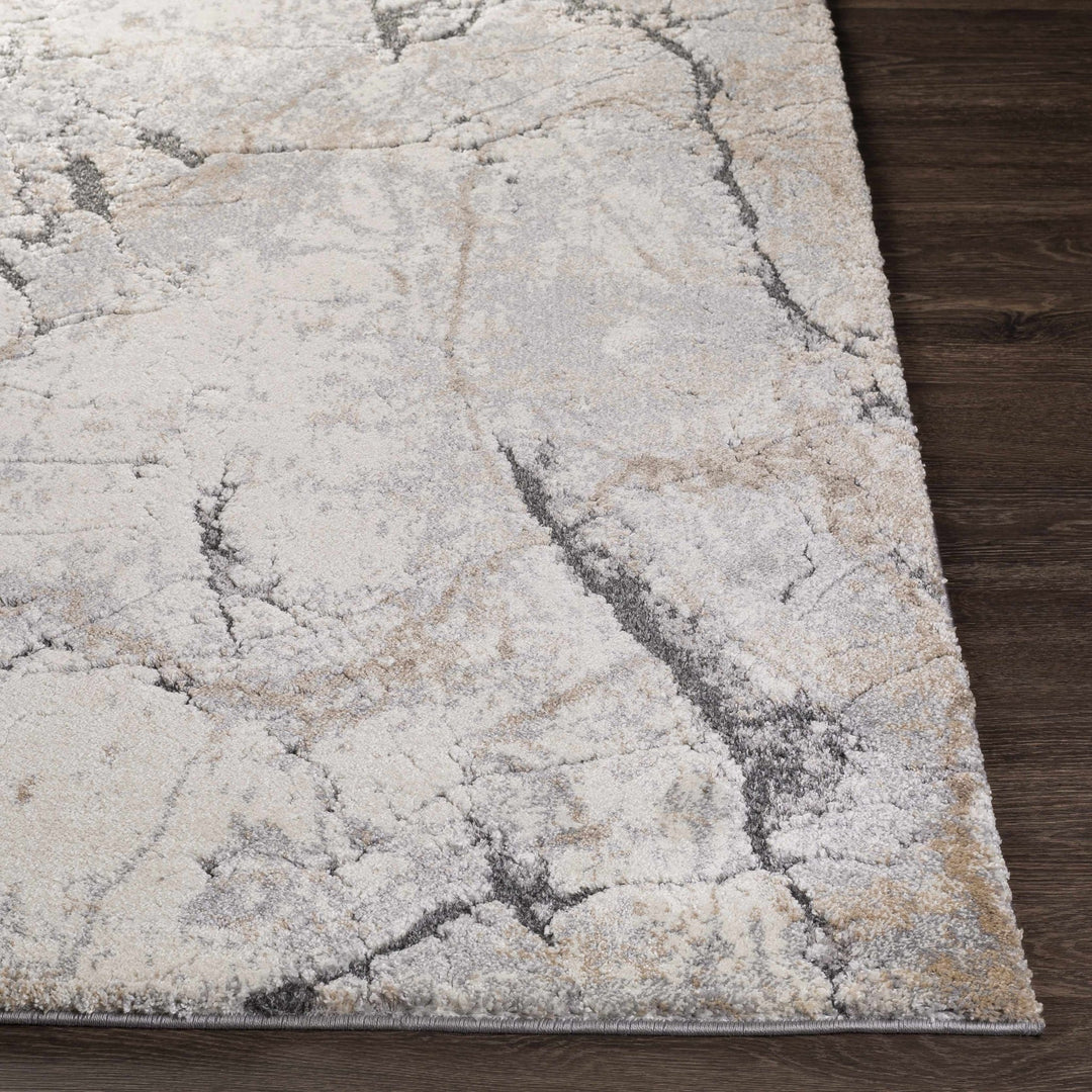 Cavetown Gray And Brown Modern Abstract Design Area Rug - The Rug Decor