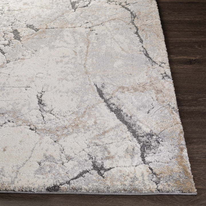 Cavetown Gray And Brown Modern Abstract Design Area Rug - The Rug Decor