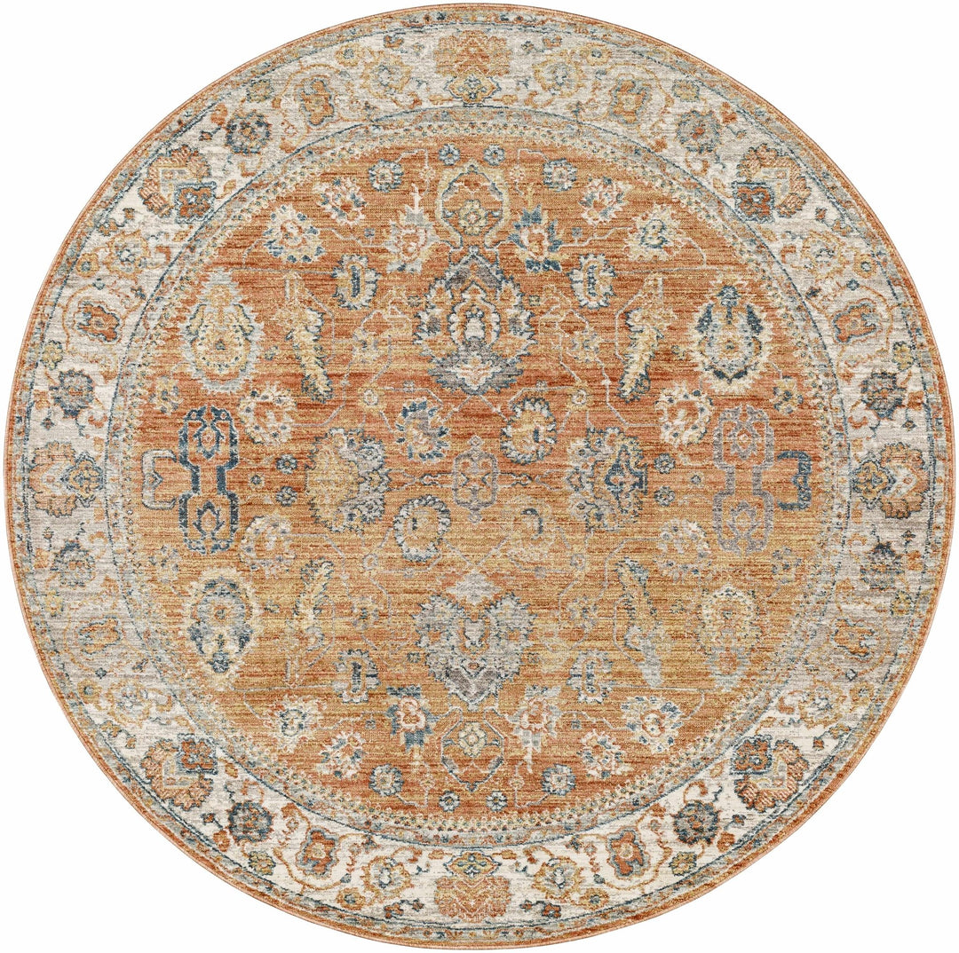 Cayla Traditional Style Brown Area Rug - The Rug Decor