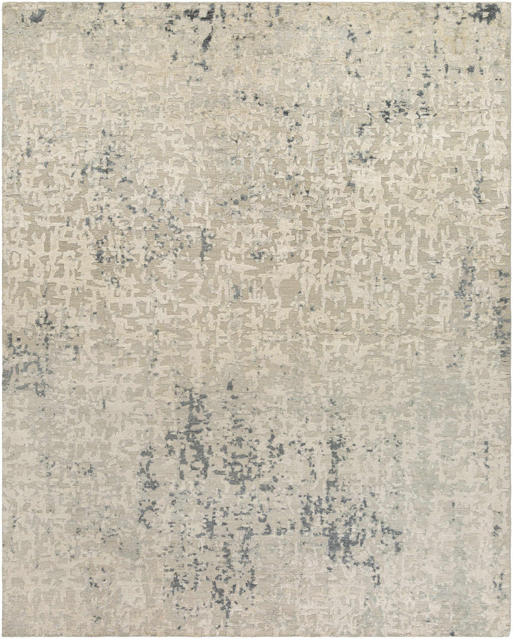 Cayuga Modern Abstract Design Beige Hand Knotted Area Rug