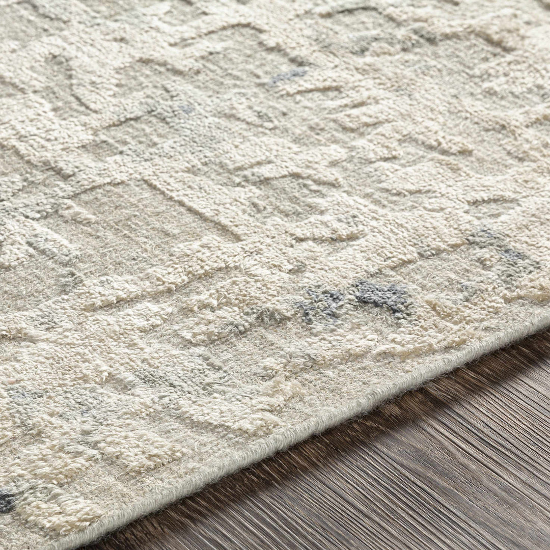 Cayuga Modern Abstract Design Beige Hand Knotted Area Rug
