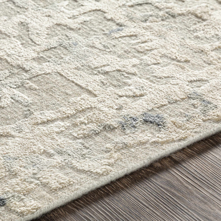 Cayuga Modern Abstract Design Beige Hand Knotted Area Rug