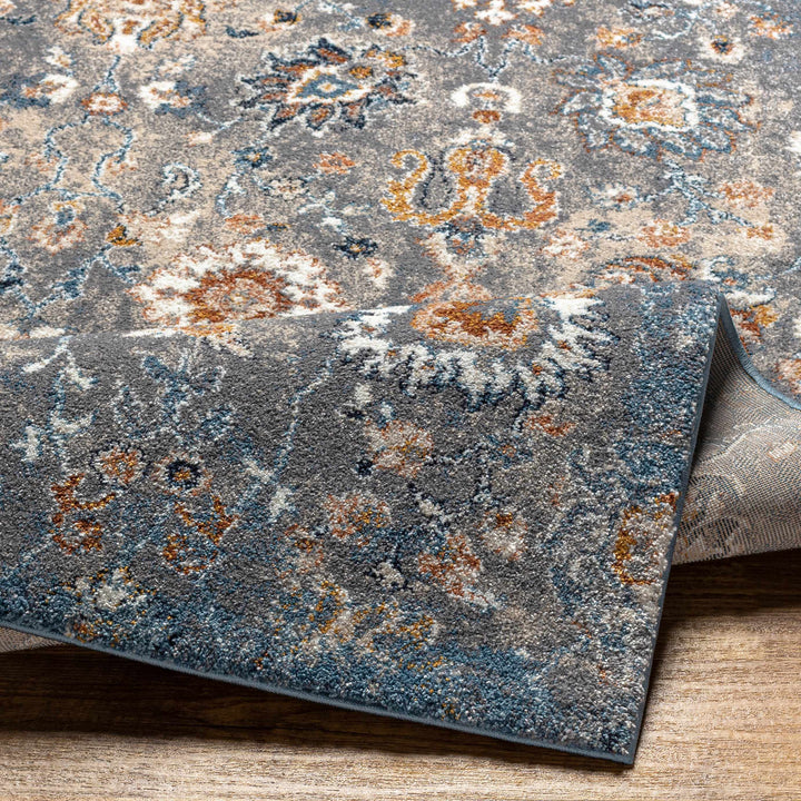 Cogan Traditional Style Gray And Blue Area Rug