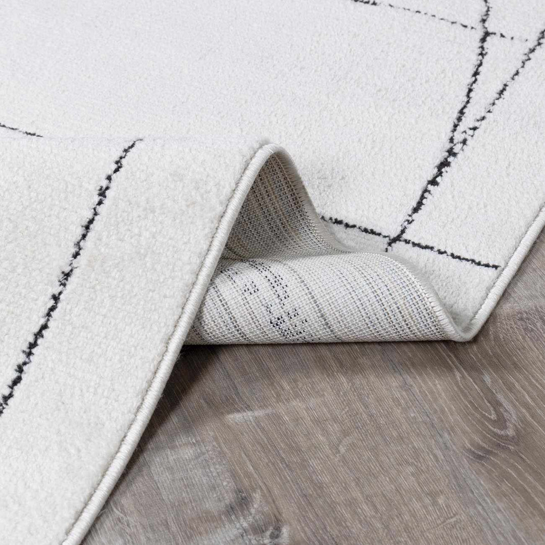 Cecily Contemporary Style Ivory And Black Area Rug - The Rug Decor