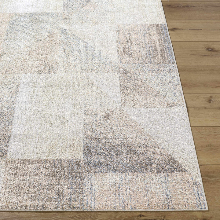 Chachi Contemporary Abstract Beige And Gray Rug - The Rug Decor