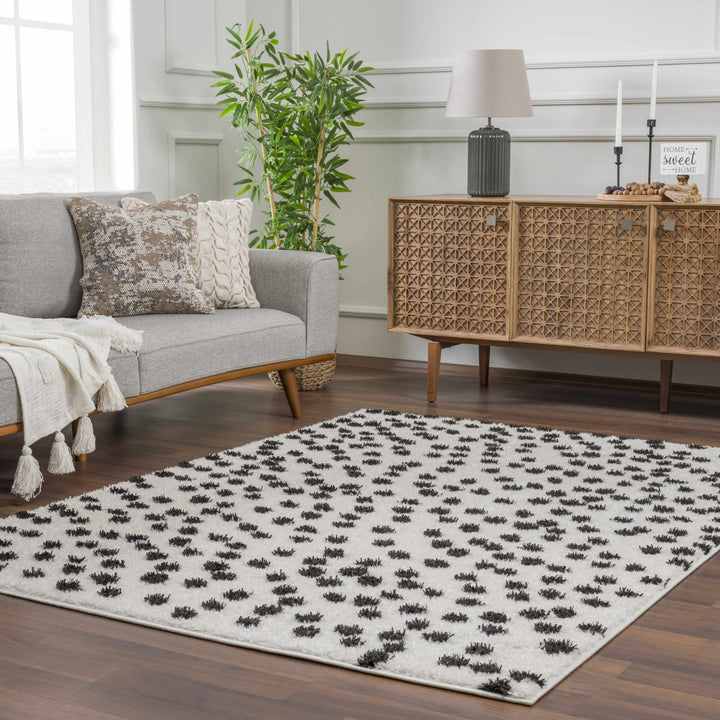 Chaia Dotted Contemporary Ivory and Black Plush Pile Area Rug - The Rug Decor