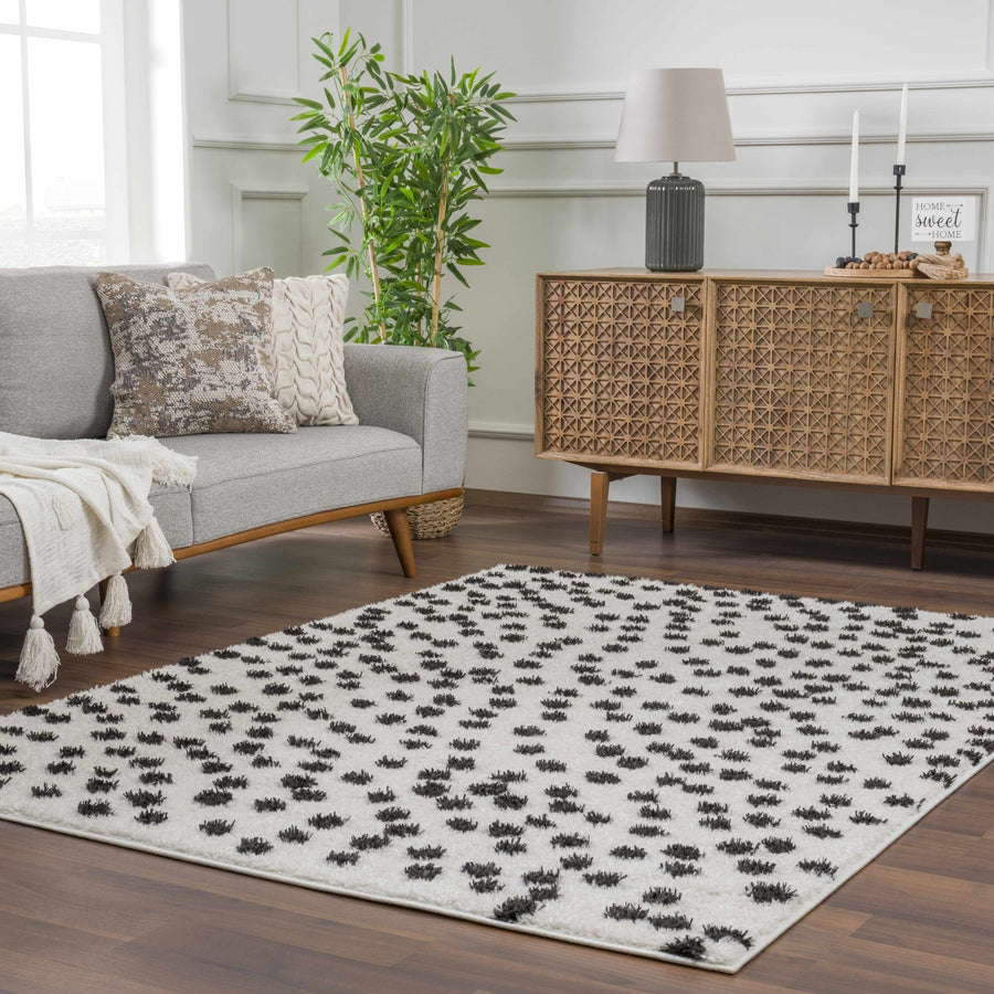 Chaia Dotted Contemporary Ivory and Black Plush Pile Area Rug - The Rug Decor