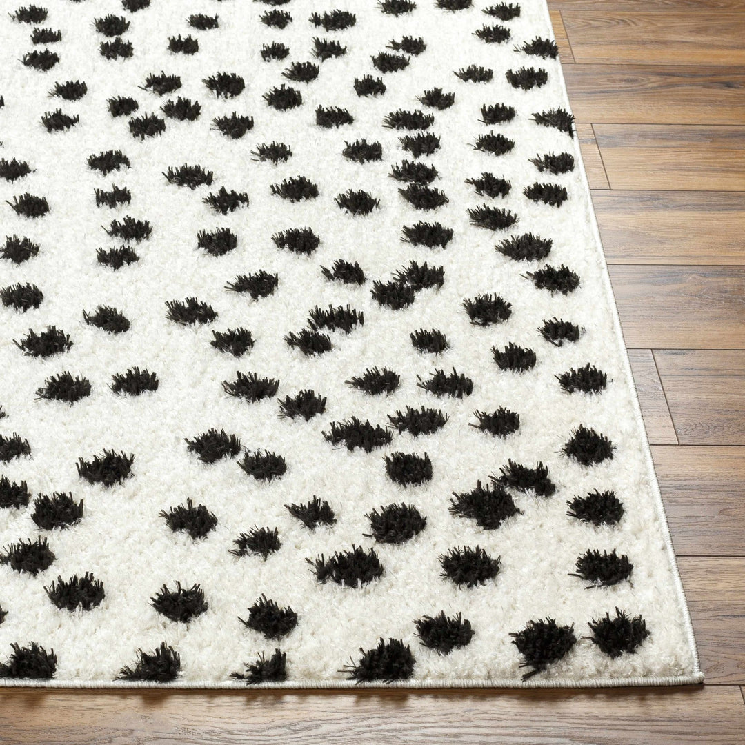 Chaia Dotted Contemporary Ivory and Black Plush Pile Area Rug - The Rug Decor