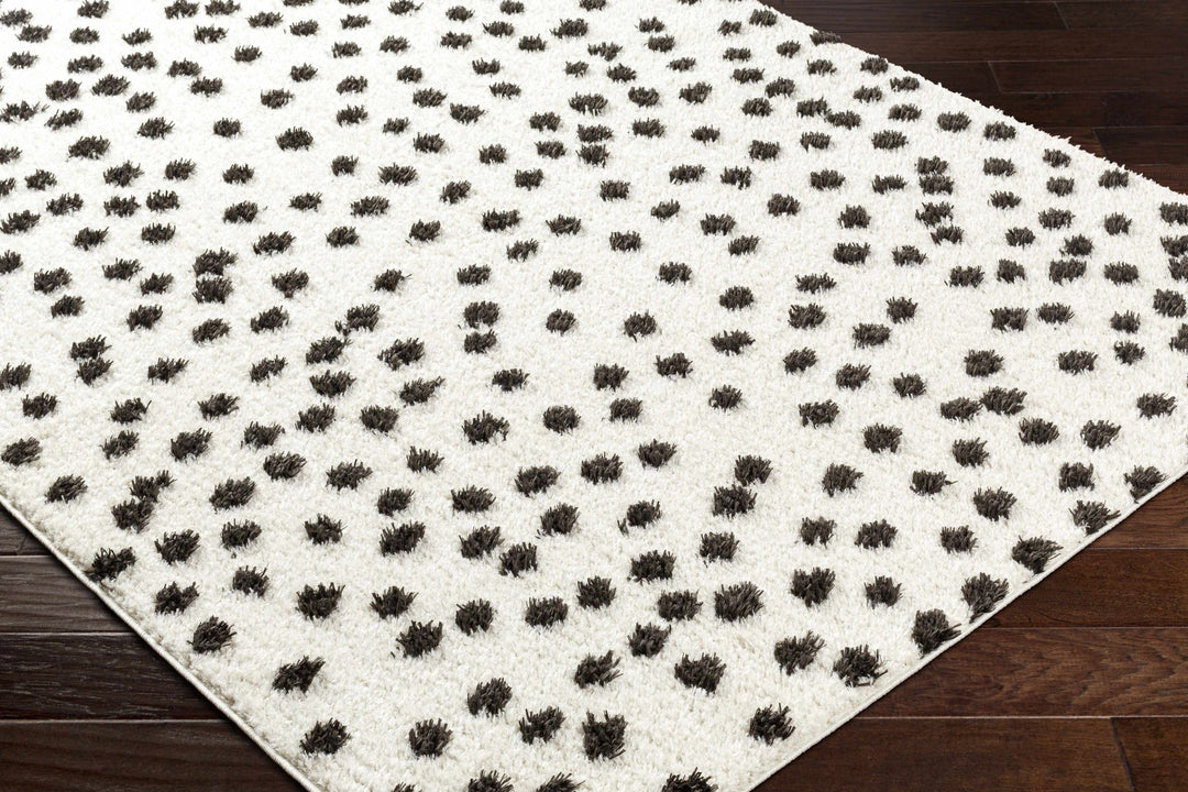 Chaia Dotted Contemporary Ivory and Black Plush Pile Area Rug - The Rug Decor