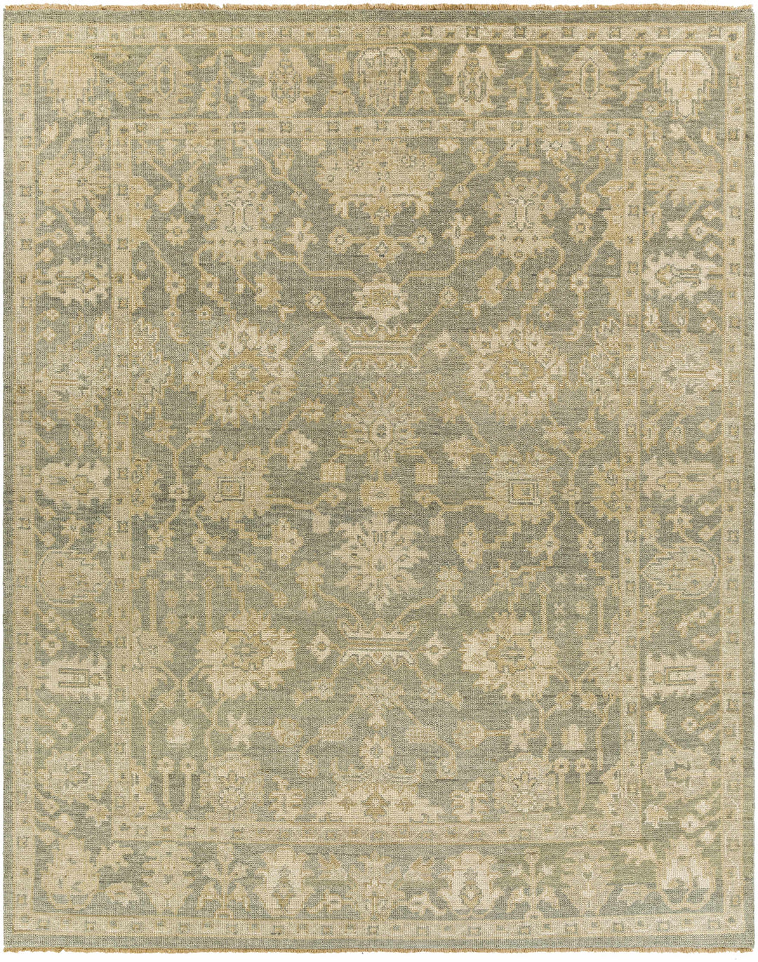 Chalgrove Traditional Floral Design Beige And Gray Hand Knotted Area Rug
