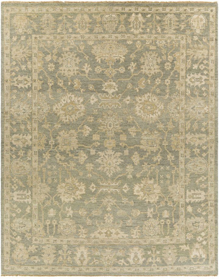 Chalgrove Traditional Floral Design Beige And Gray Hand Knotted Area Rug