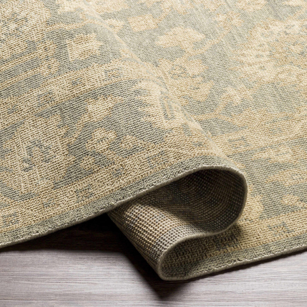 Chalgrove Traditional Floral Design Beige And Gray Hand Knotted Area Rug