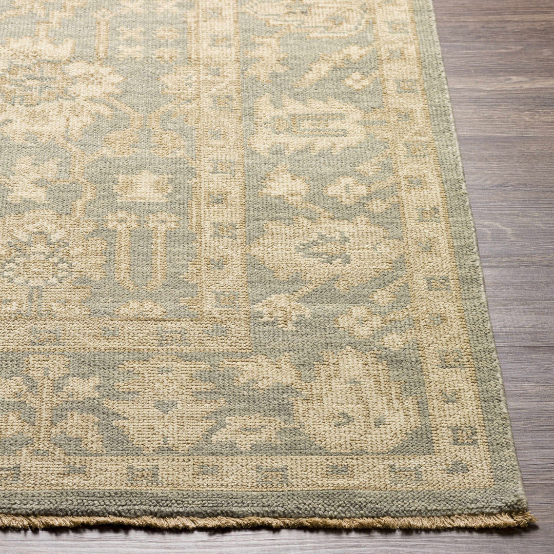Chalgrove Traditional Floral Design Beige And Gray Hand Knotted Area Rug