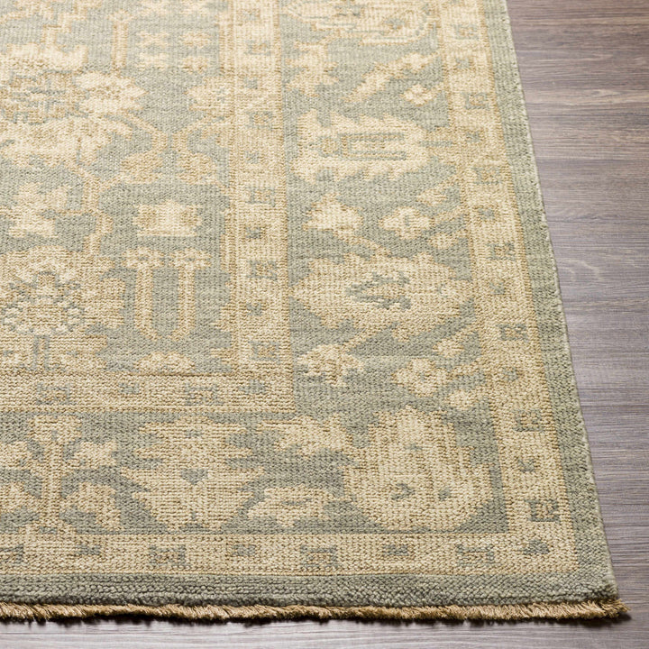 Chalgrove Traditional Floral Design Beige And Gray Hand Knotted Area Rug
