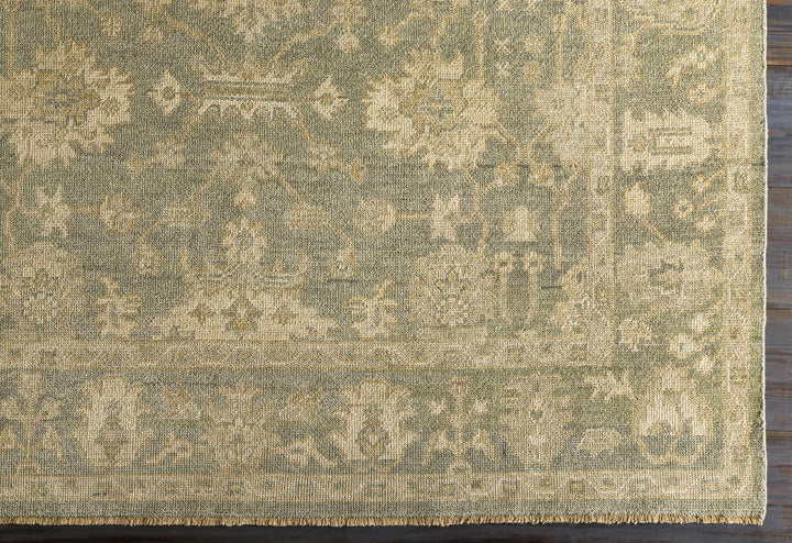 Chalgrove Traditional Floral Design Beige And Gray Hand Knotted Area Rug