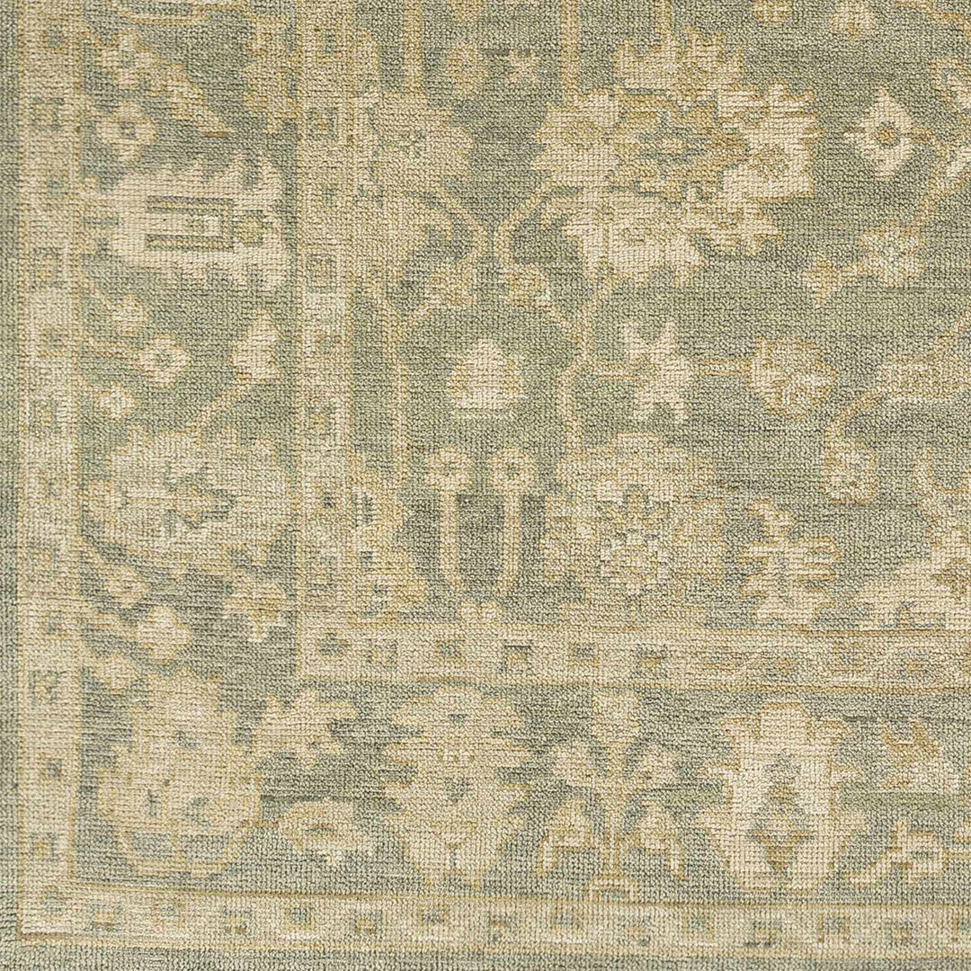 Chalgrove Traditional Floral Design Beige And Gray Hand Knotted Area Rug
