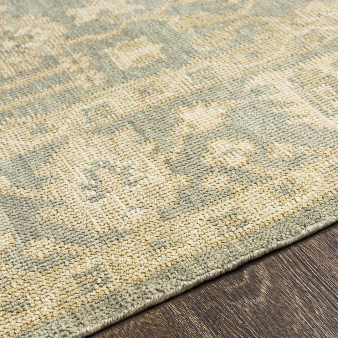 Chalgrove Traditional Floral Design Beige And Gray Hand Knotted Area Rug