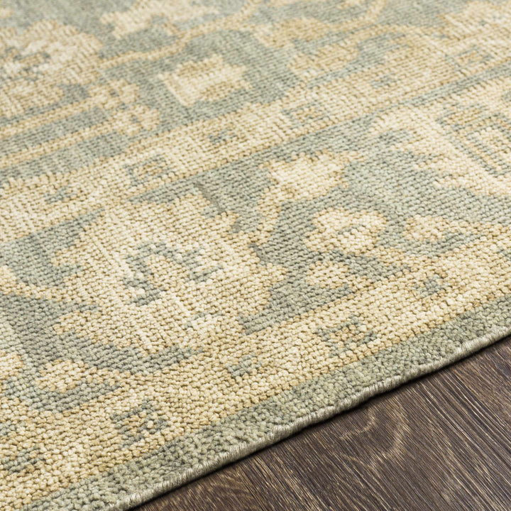 Chalgrove Traditional Floral Design Beige And Gray Hand Knotted Area Rug