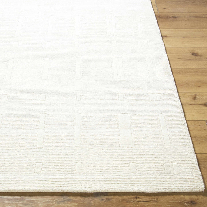 Charan Contemporary Solid Ivory Area Rug - The Rug Decor