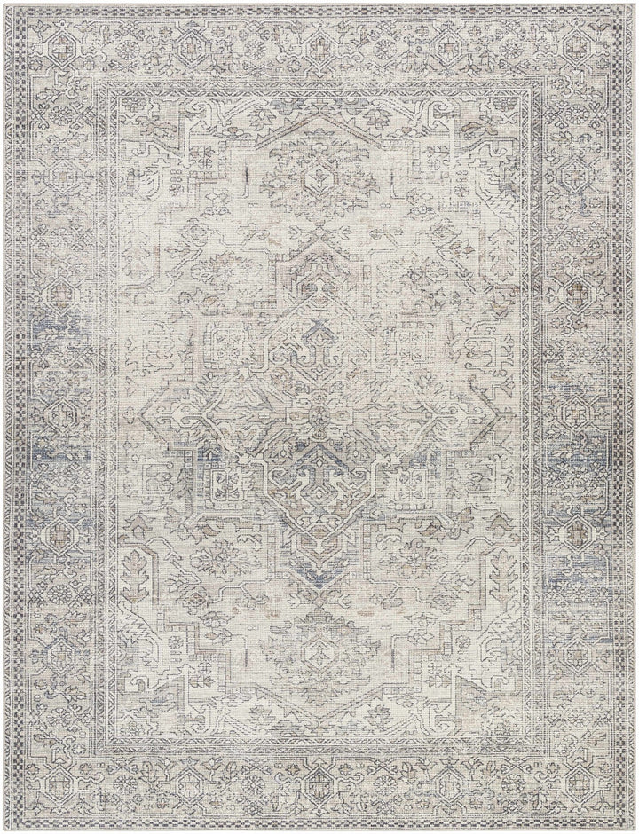 Charcoal And White Traditional Style Area Rug - The Rug Decor