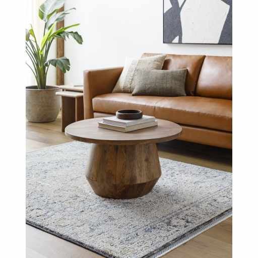 Charo Traditional Medallion Design Beige And Gray Rug - The Rug Decor