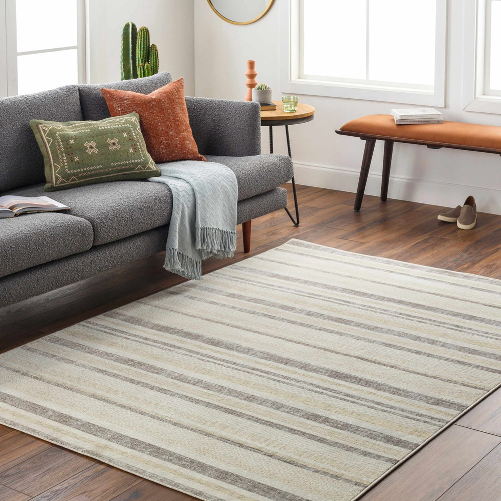 Chato Contemporary Abstract Beige And Gray Area Rug - The Rug Decor
