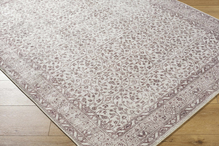 Chayan Traditional Style Ivory And Brown Area Rug - The Rug Decor